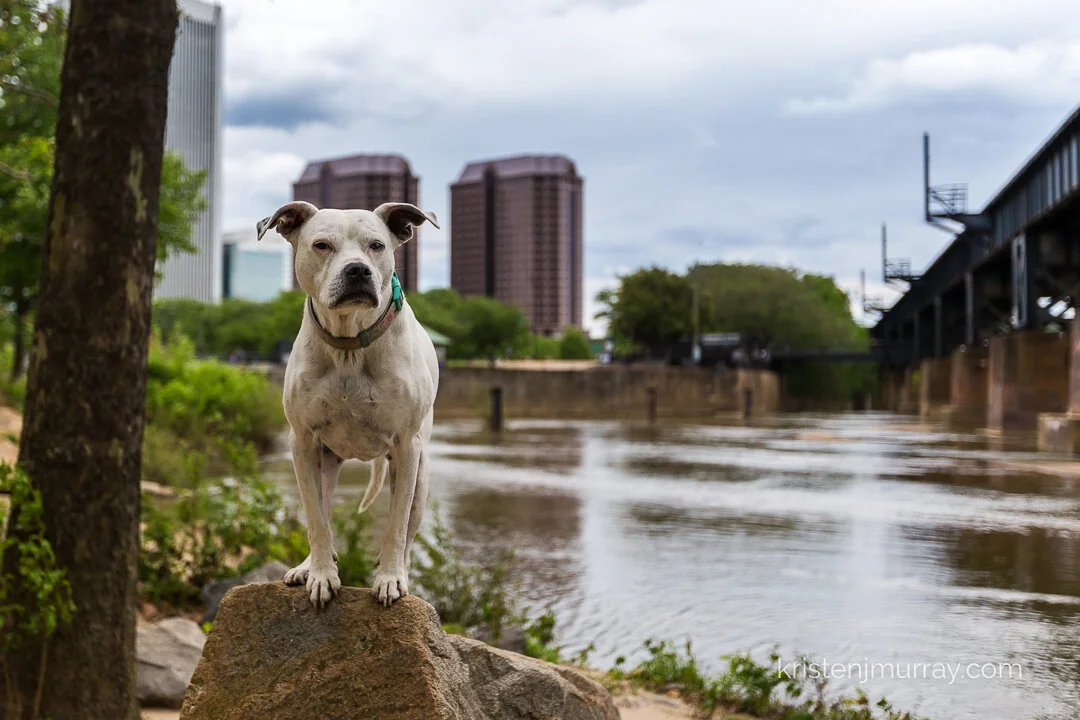 Speed Edit: Kona at Tredegar Iron Works in RVA