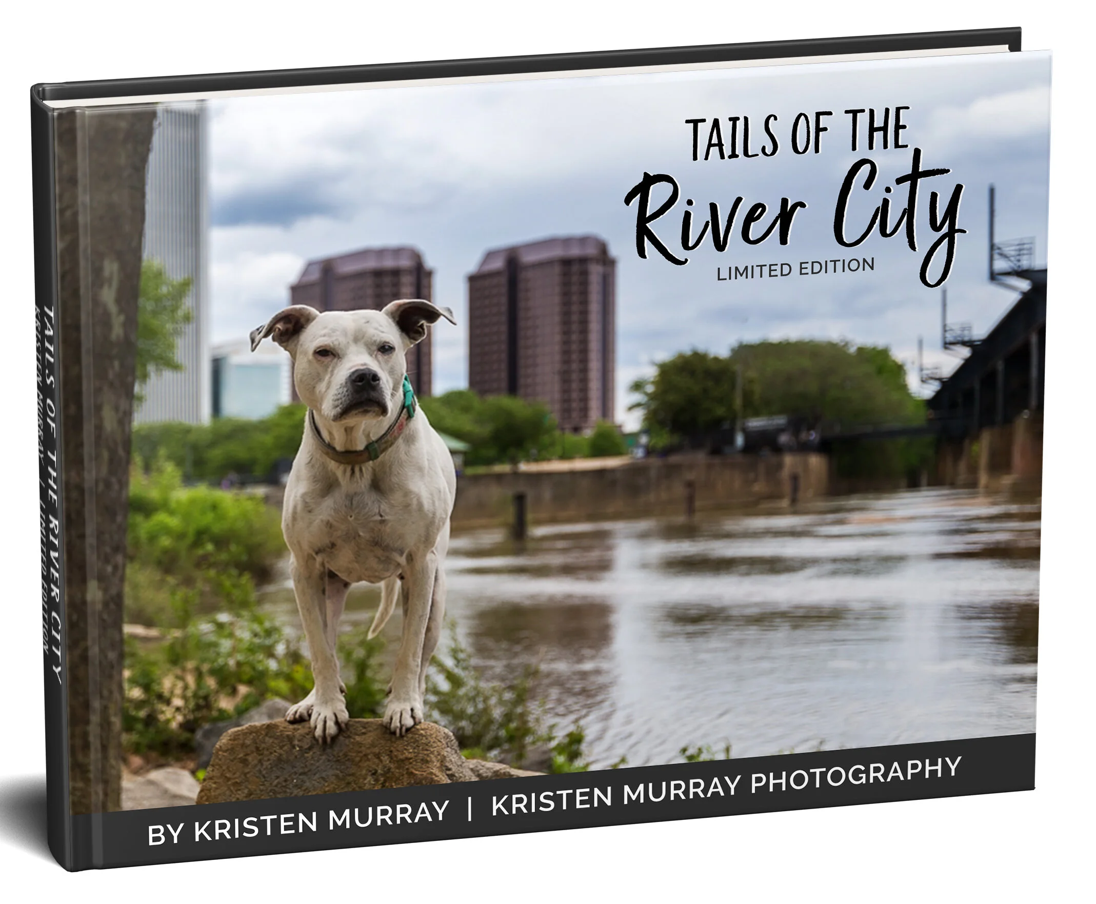 Tails of the River City.jpg