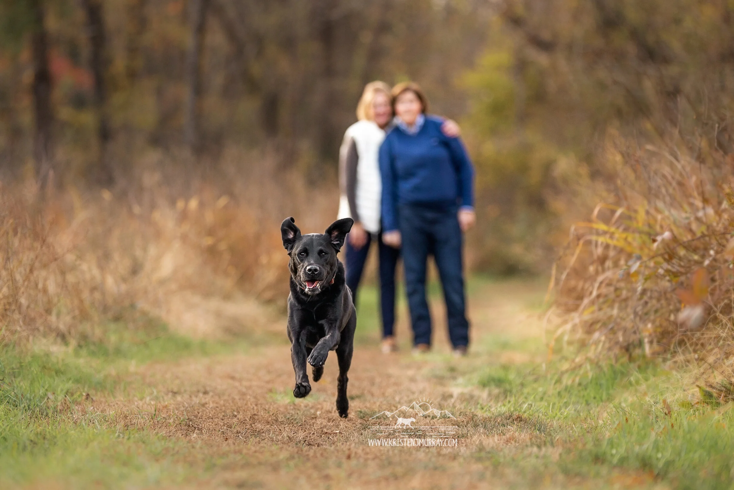 Rocket on the Northbank Trail at Hollywood Cemetery