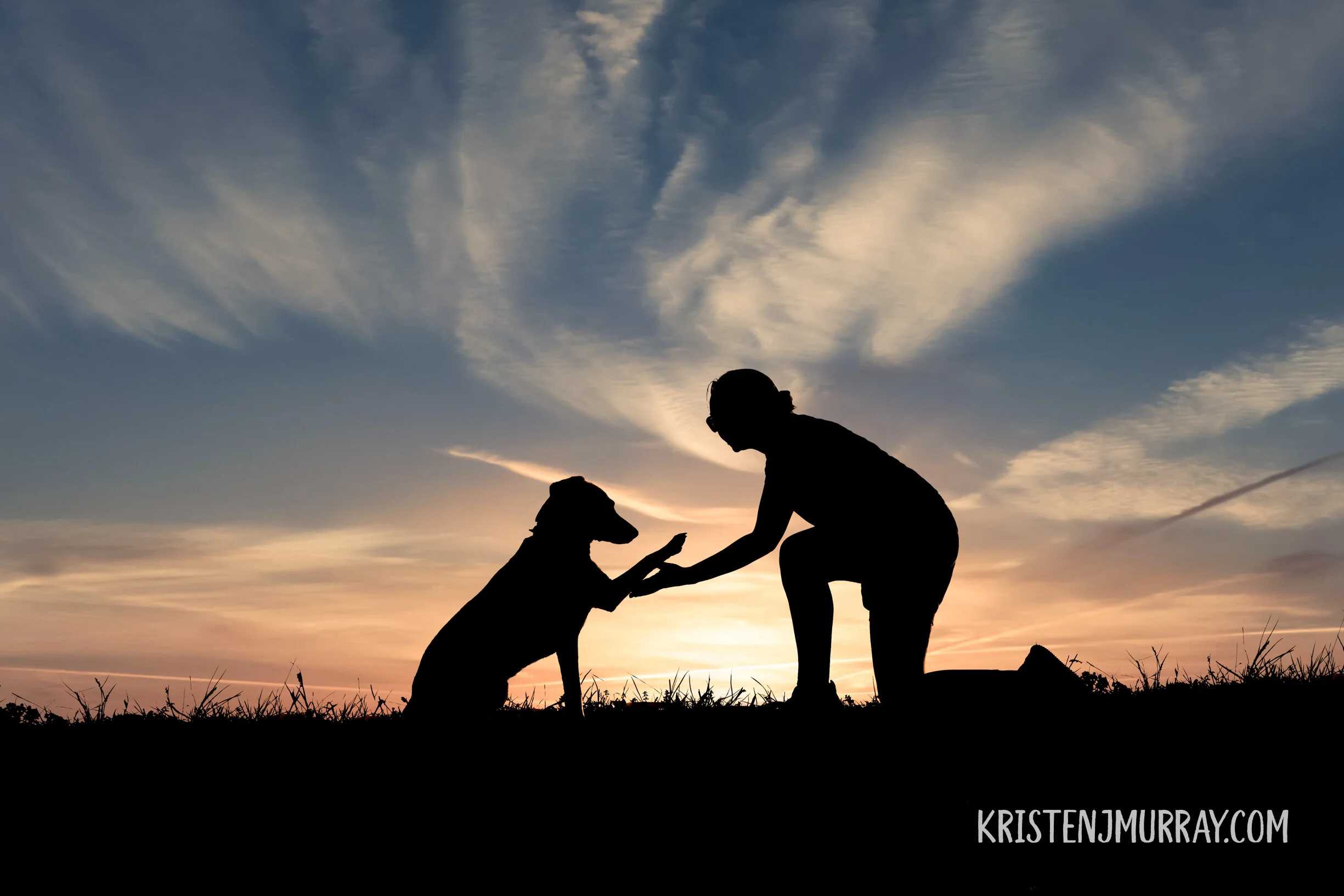 mom-and-beagle-hi-fiving-sunset-silhouette-byrd-park-richmond-virginia-rva-kristen-murray-photography