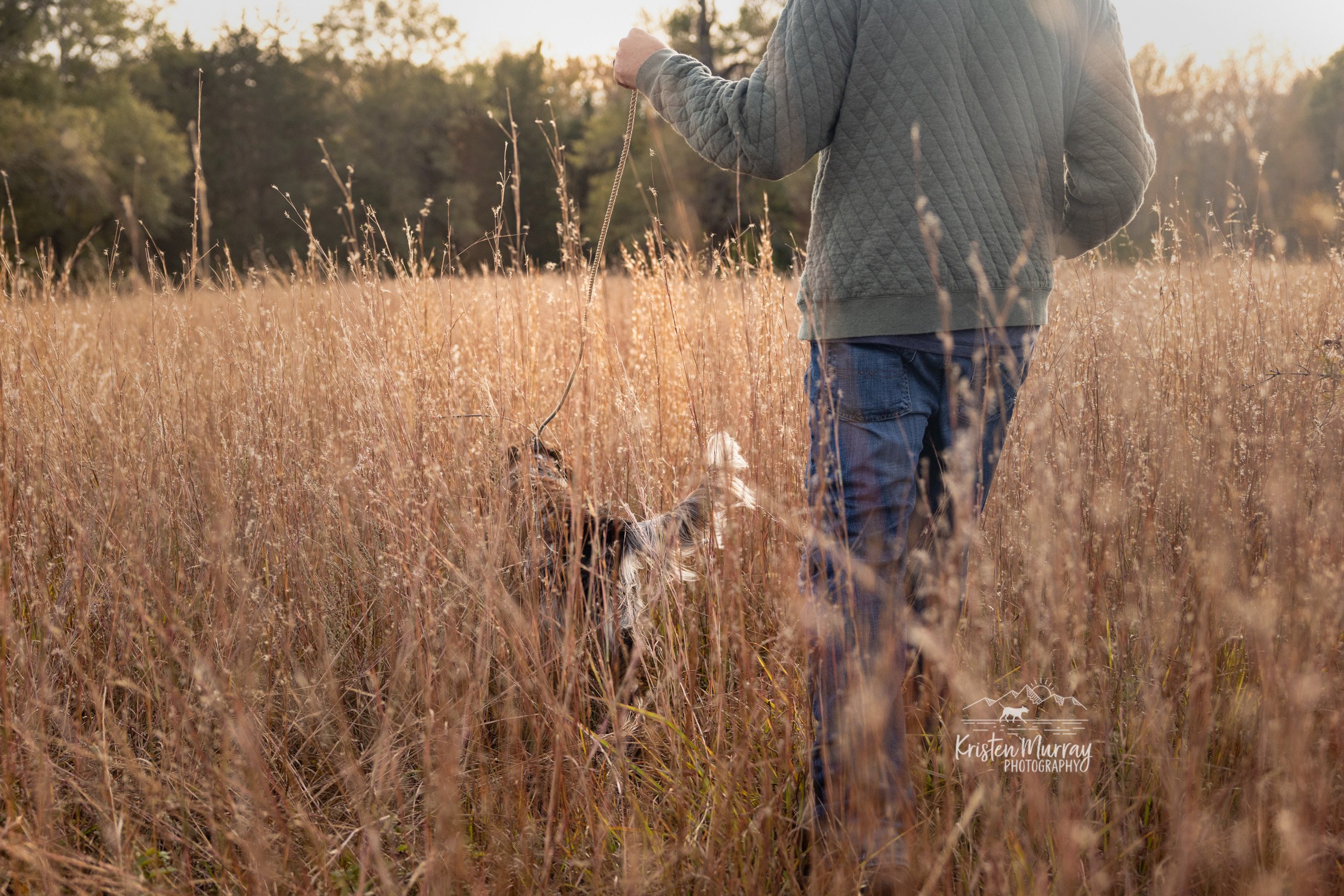 Person in a green quilted jacket and jeans walking a dog through tall, golden grass in a field during sunset