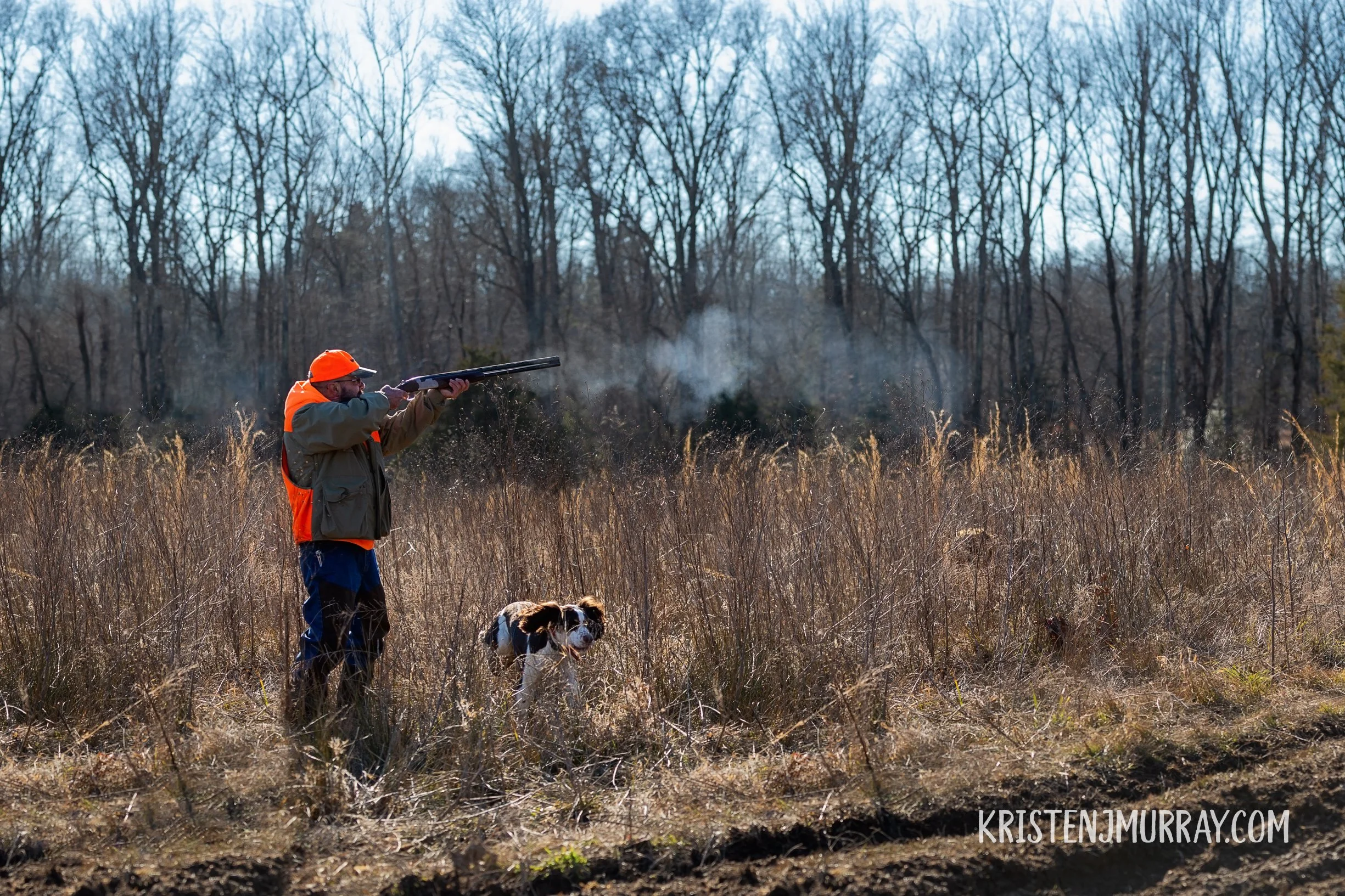 A man wearing orange and gray clothing aiming a shotgun in a grassy field with a dog nearby. Bare trees are in the background, and the sky is clear.