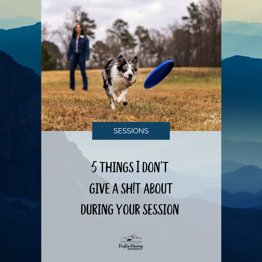 5 things I don't give a shit about during your dog's photo session 
