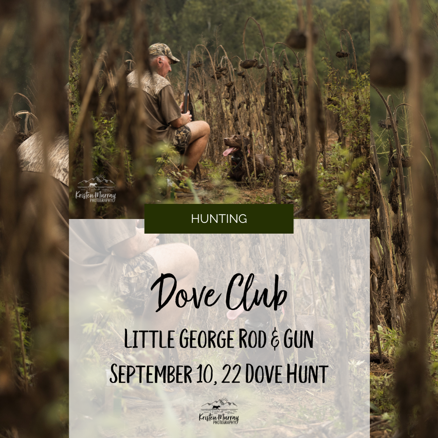 Dogs &amp; Doves at Little George Rod and Gun - Buckingham, Virginia