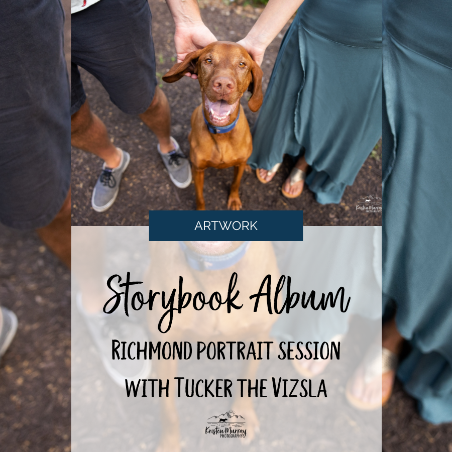 Richmond Dog Photoshoot - featuring Tucker the Vizsla at Tredegar Iron Works and Libby Hill