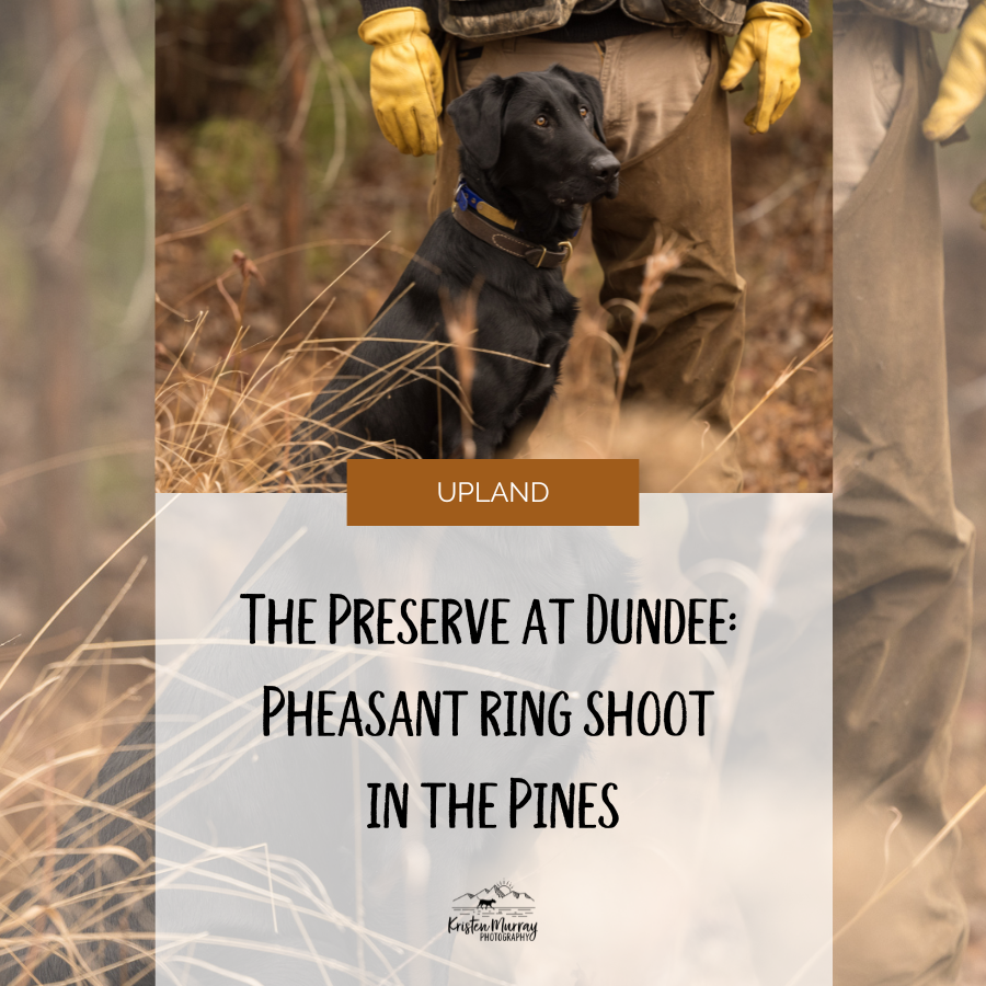 The Preserve at Dundee: Pheasant Ring Shoot 