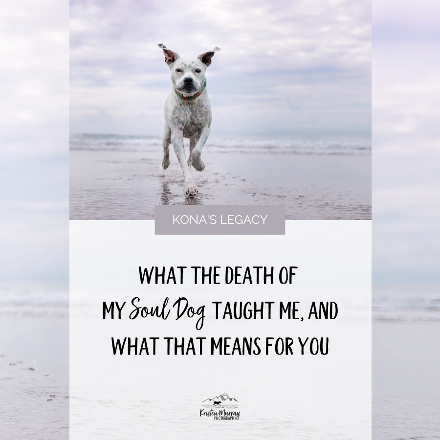 Kona's legacy: What the death of my soul dog taught me, and what that means for you. 