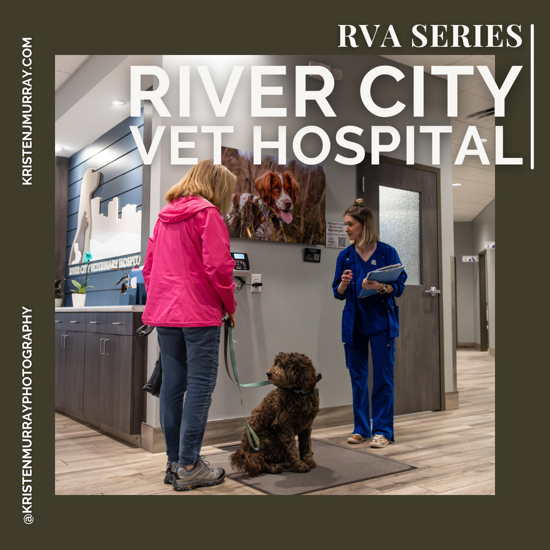 Richmond VA series: River City Vet Hospital 