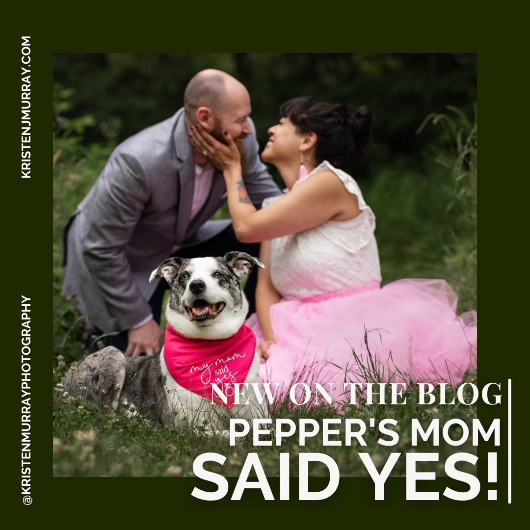 My Mom Said Yes! - A Richmond Engagement Shoot with the best dog! 