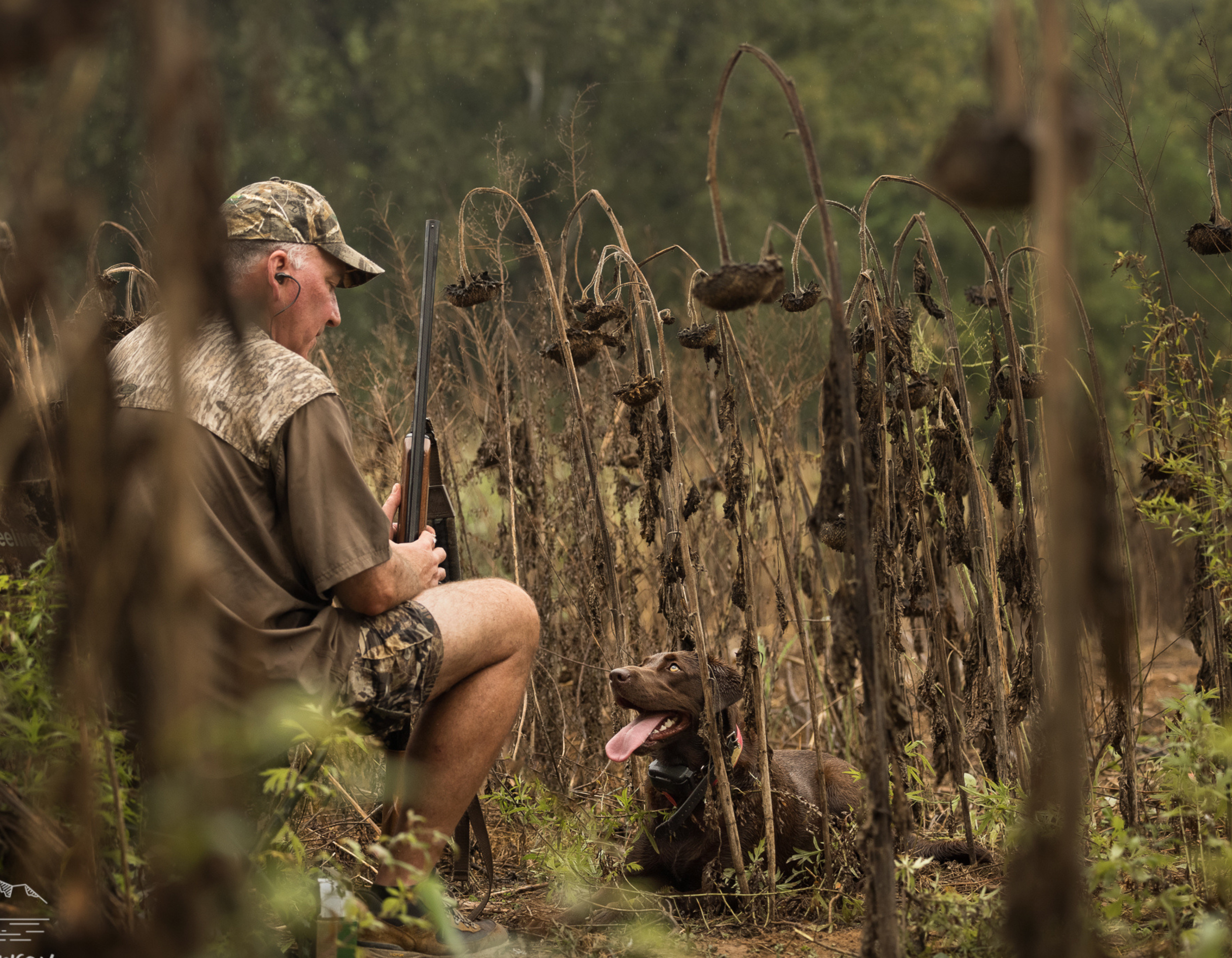 Man and Dog on Dove Hunt. Upland Hunting in Virginia - Little George Rod & Gun