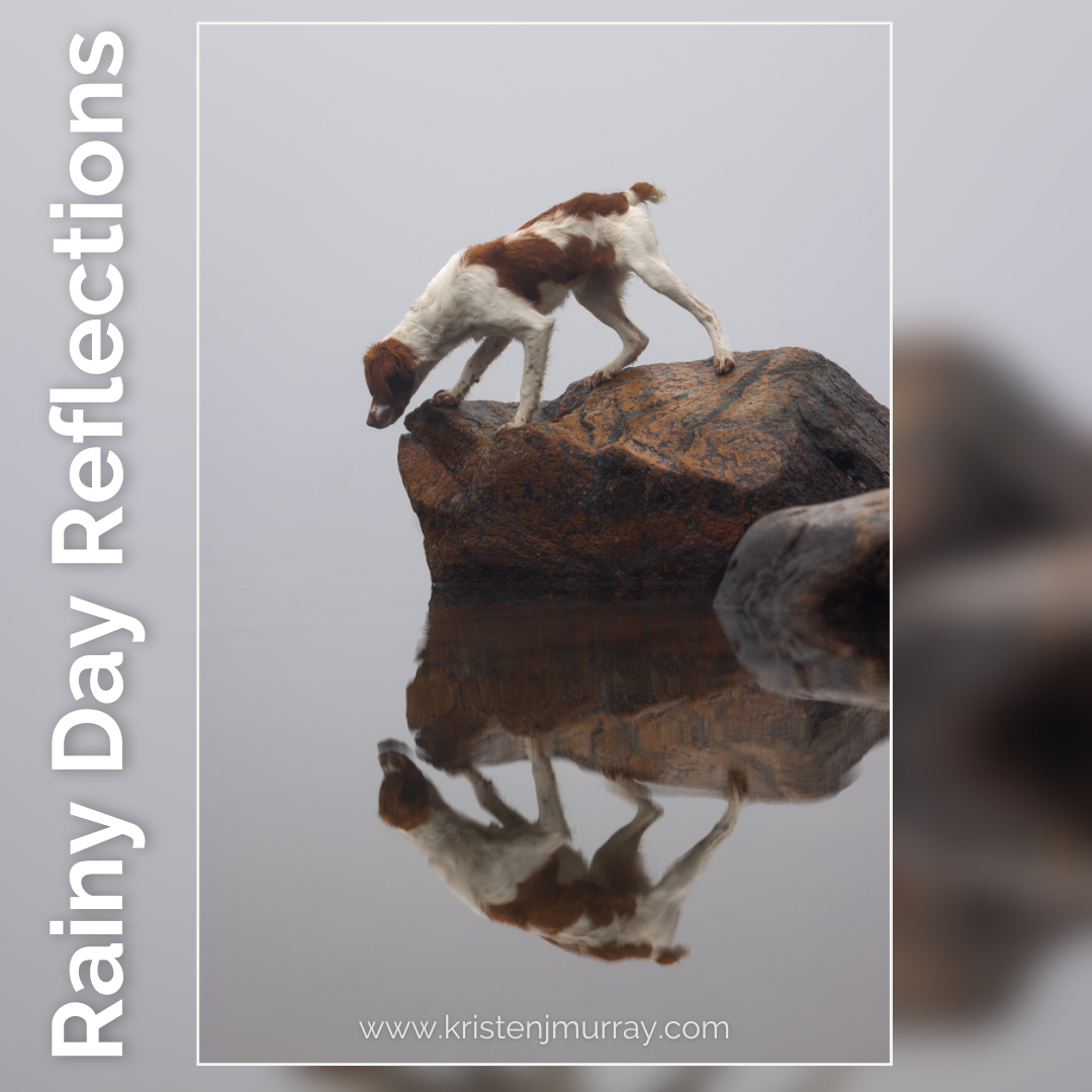 Rainy Day Reflections