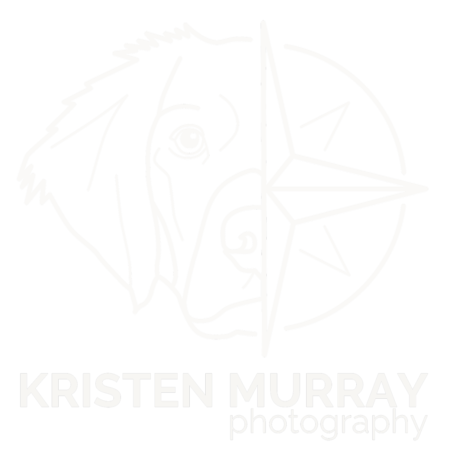Kristen Murray Photography