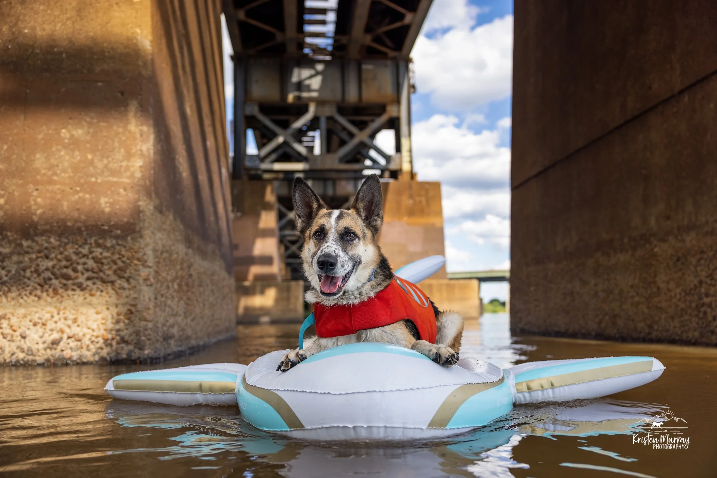 A dog wearing a red life vest sitting on a white and blue paddleboard in a river under a bridge.