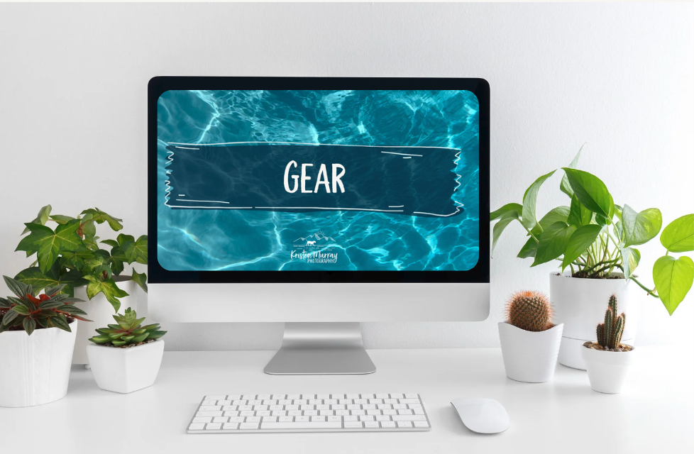 Kristen-murray-photography-underwater-dog-video-course-for-other-pet-photographers-to-learn