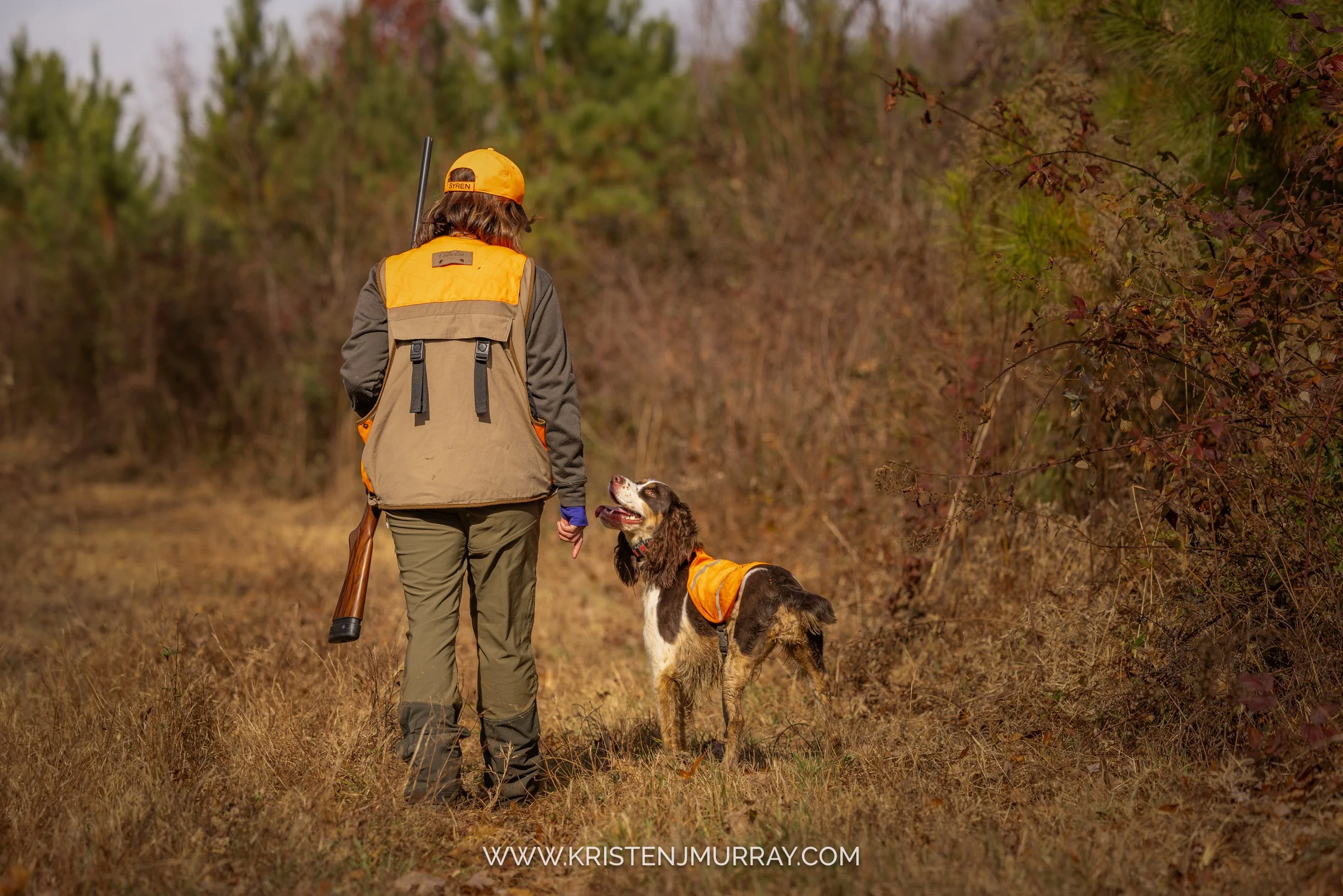 Woman and Springer Spaniel on a wild woodcock hunt in Virginia - Kristen Murray Photography