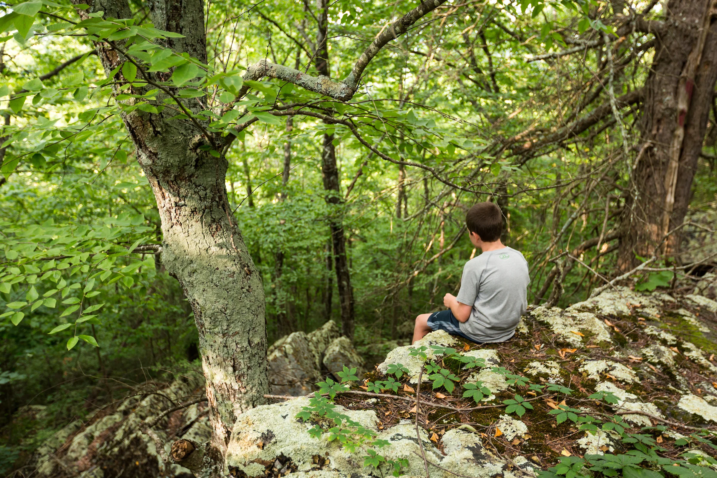 The Highlands at Rawley Springs 7.2018-62.jpg