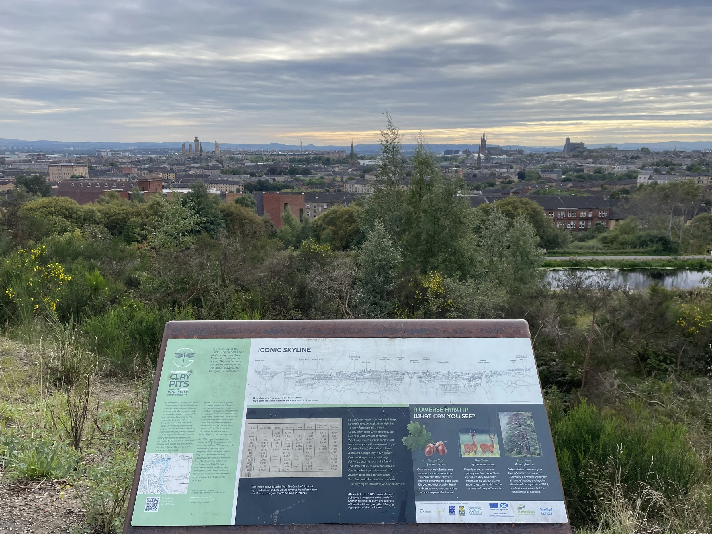 The Hamiltonhill Claypits – Glasgow's hidden gem