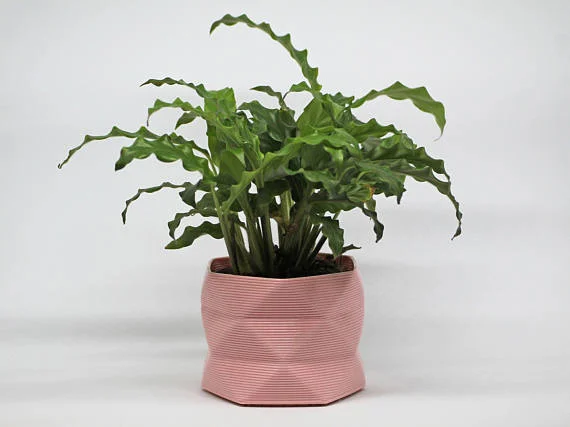 Large Planter 2.jpg
