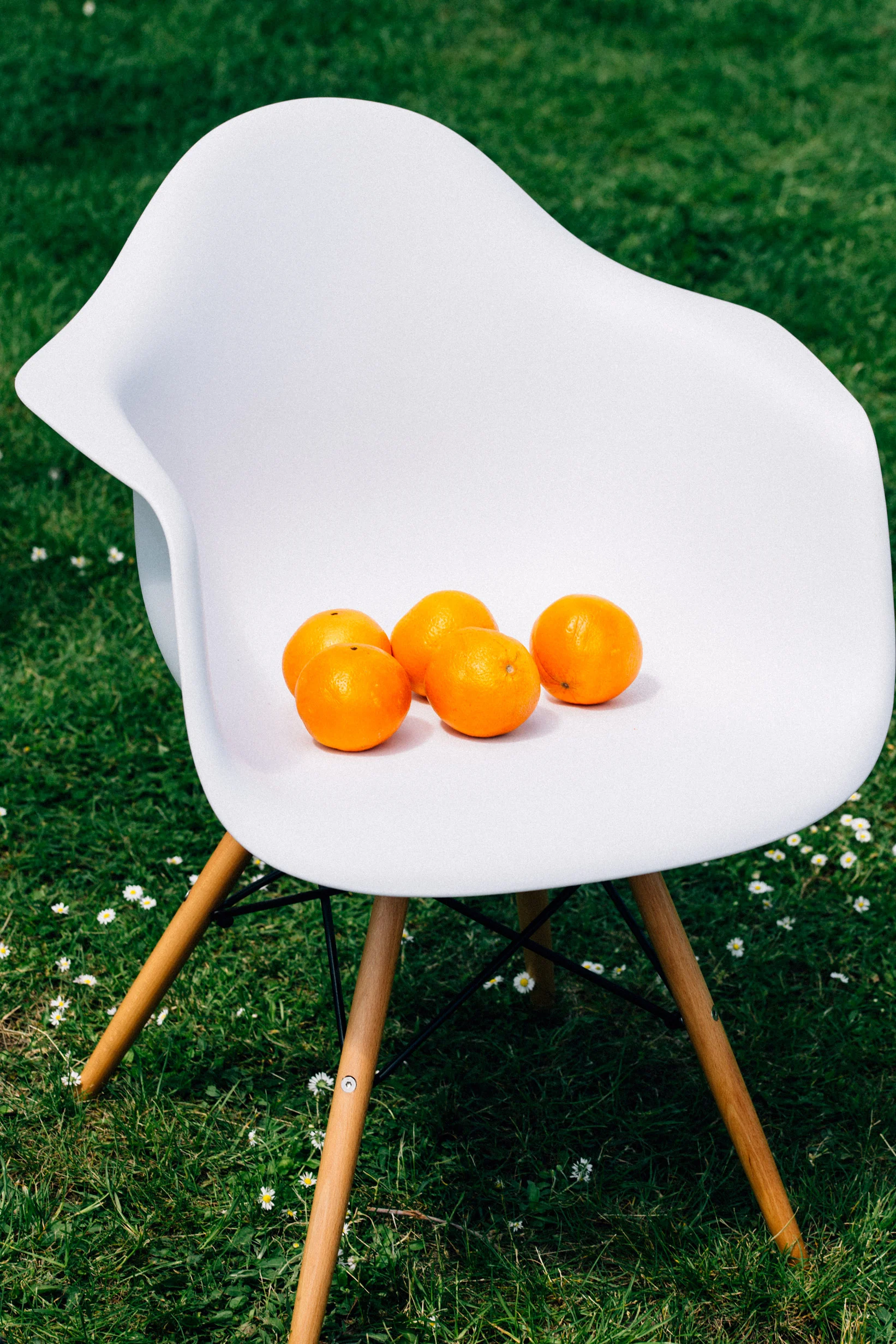 orange_13.jpg