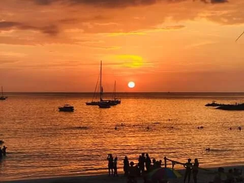 Madzook - Joe Jekel.homepage.JPG