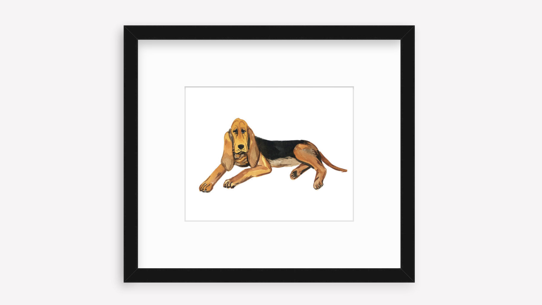 PetPortrait.jpg