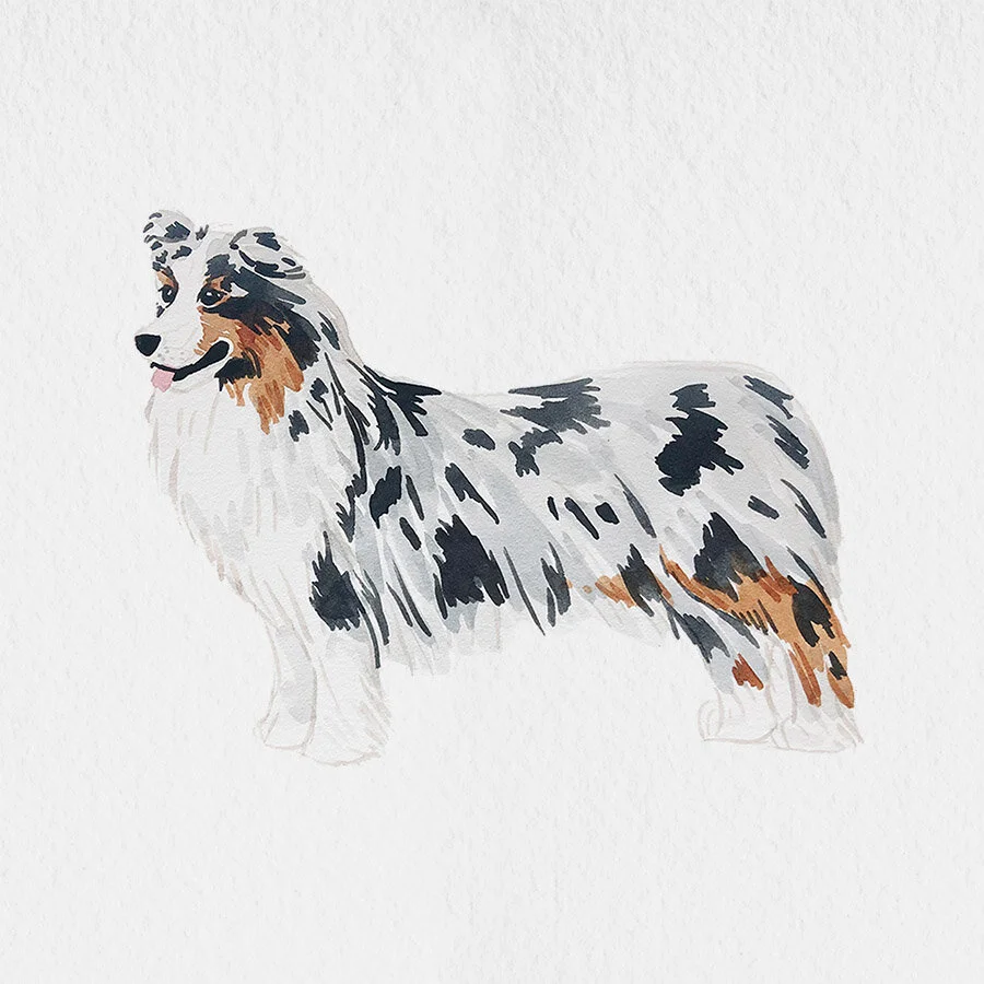 PAPER-aussie.jpg