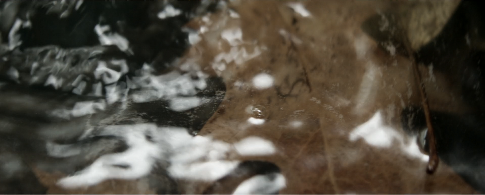 Screen Shot 2020-08-20 at 12.40-1.png