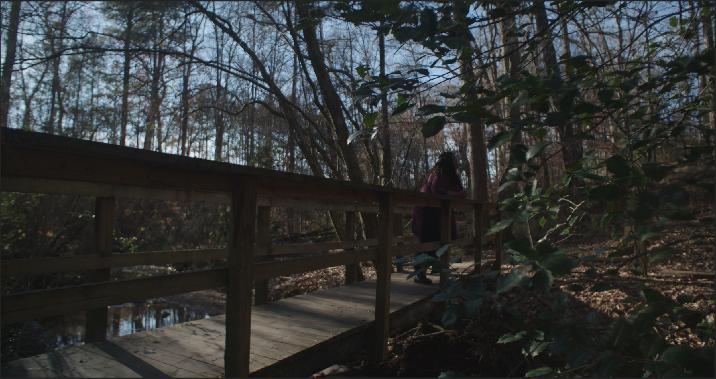 Screen Shot 2020-12-19 at 12.04.10 AM.png