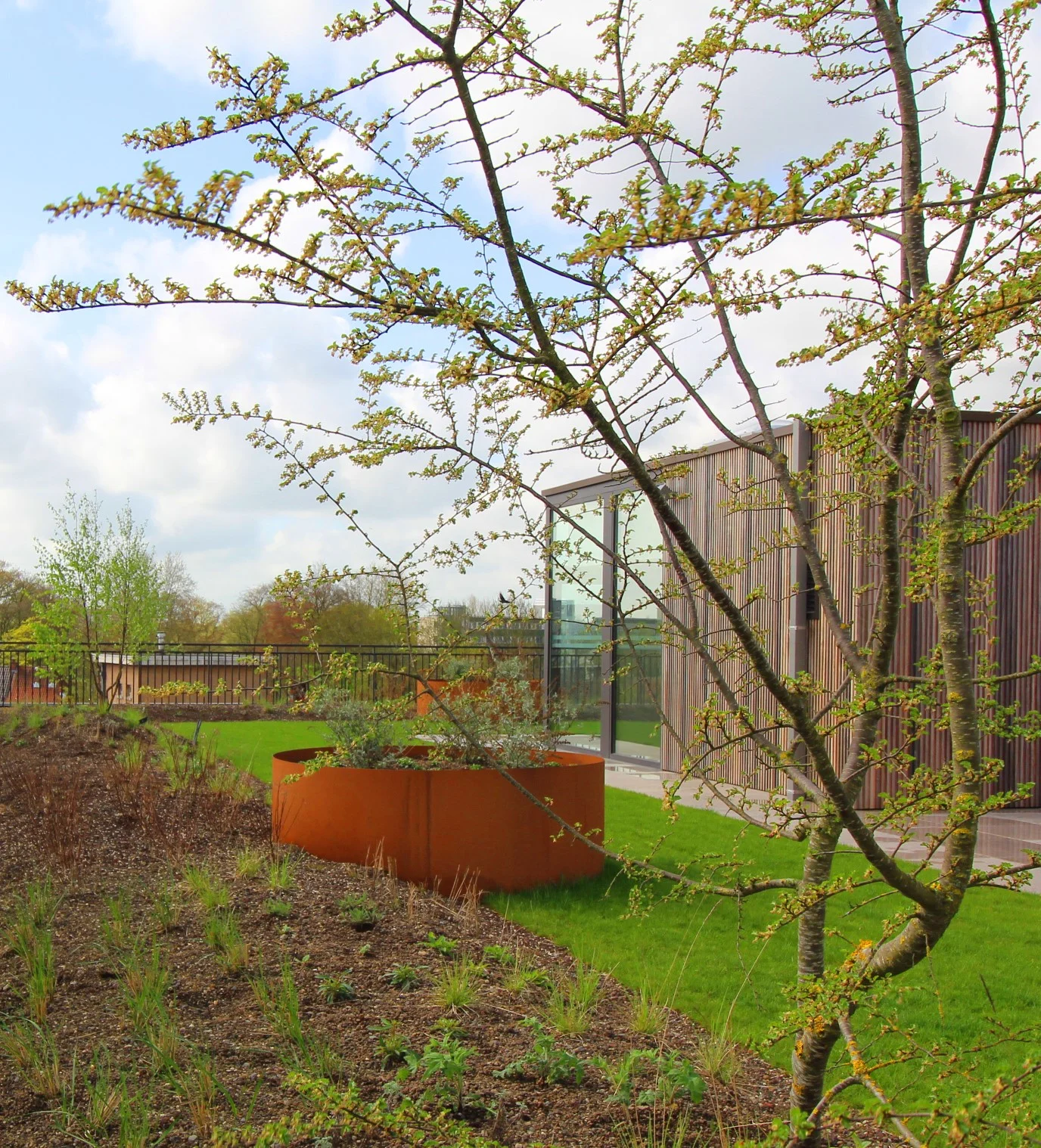 daktuin brussel.jpg