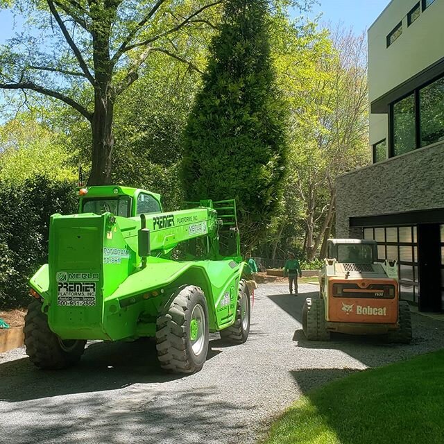 Big Tree Day!  Need instant screening?  Try a 25' tall Green Giant, 6,000LB 'Green Giant' Arborvitae!

#landscapearchitecture #designbuild #tree #greengiant