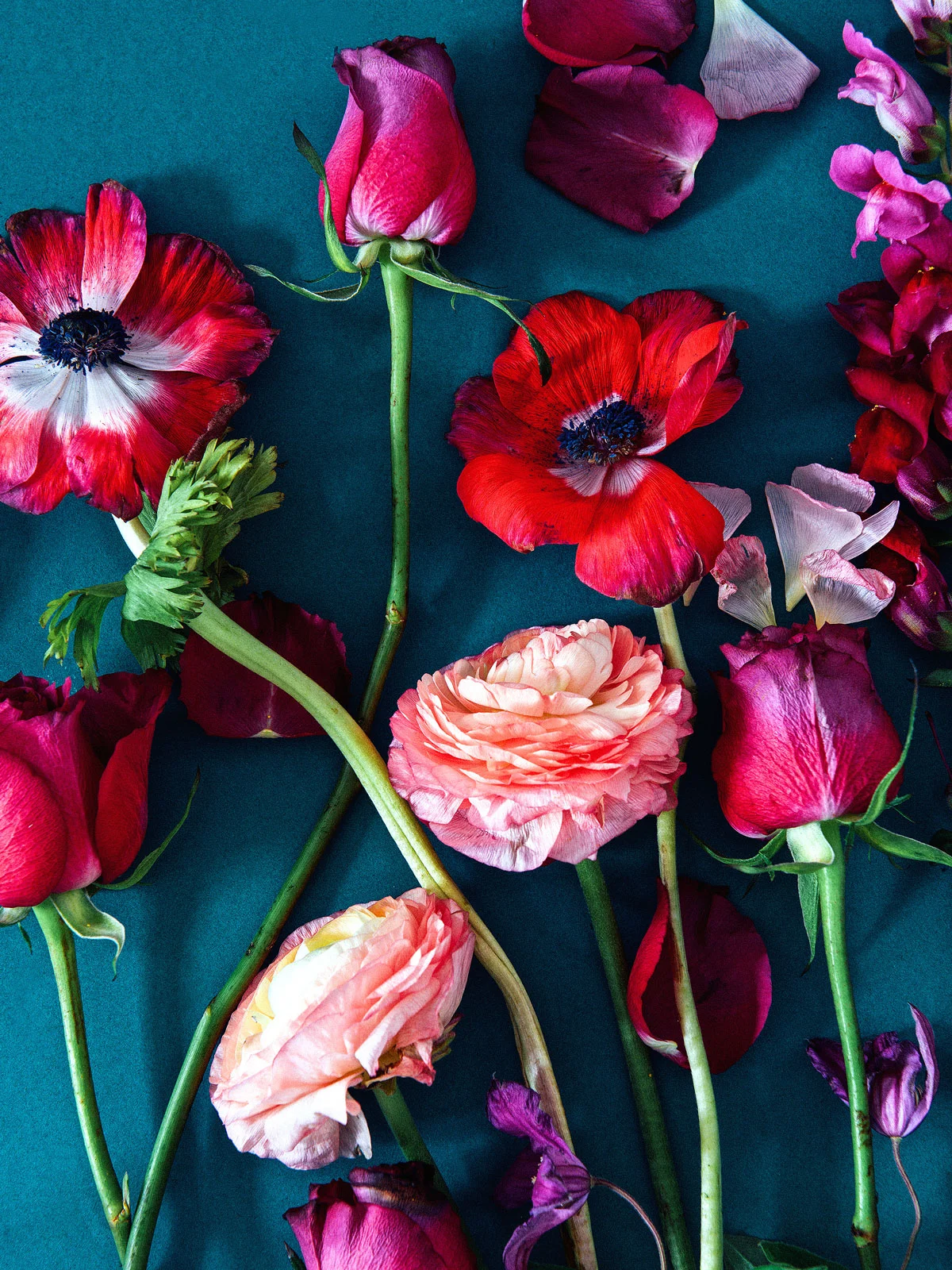 Poppies, roses and peonies and green