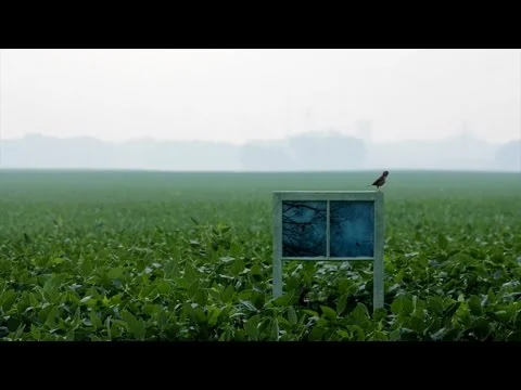 "Ghost in the Field", 2014 (remastered)