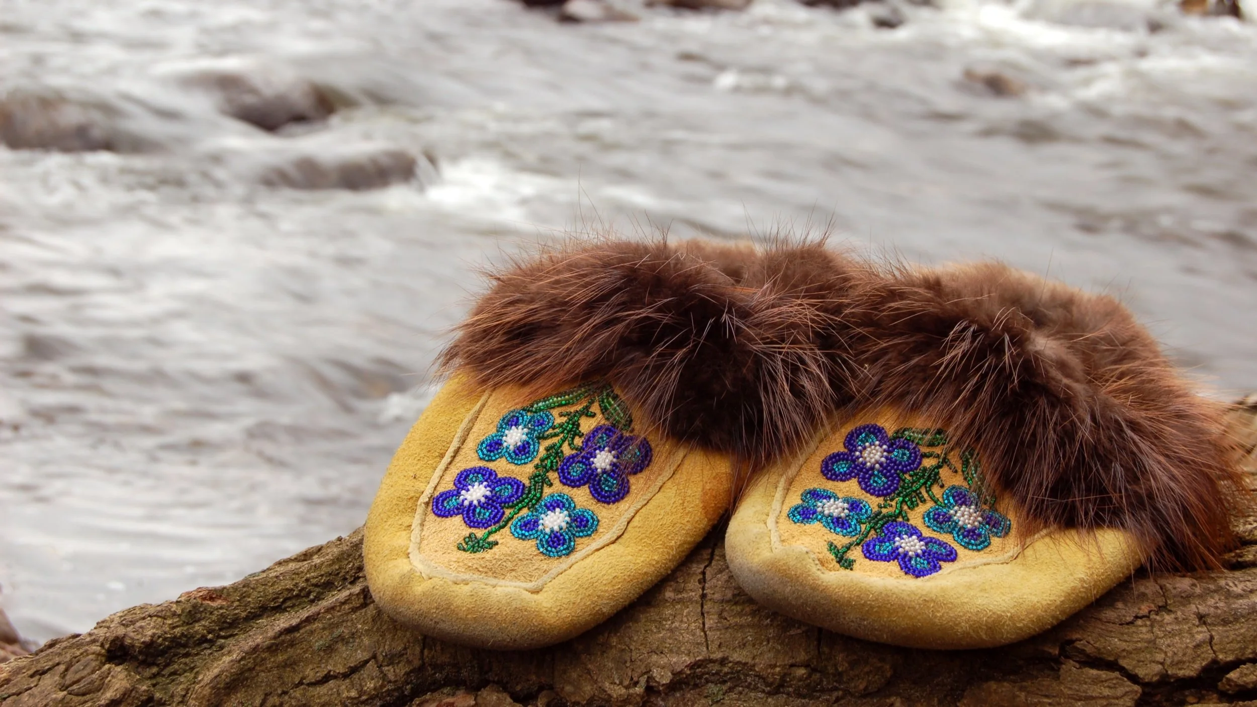 BeadedSlippers-paid.jpg