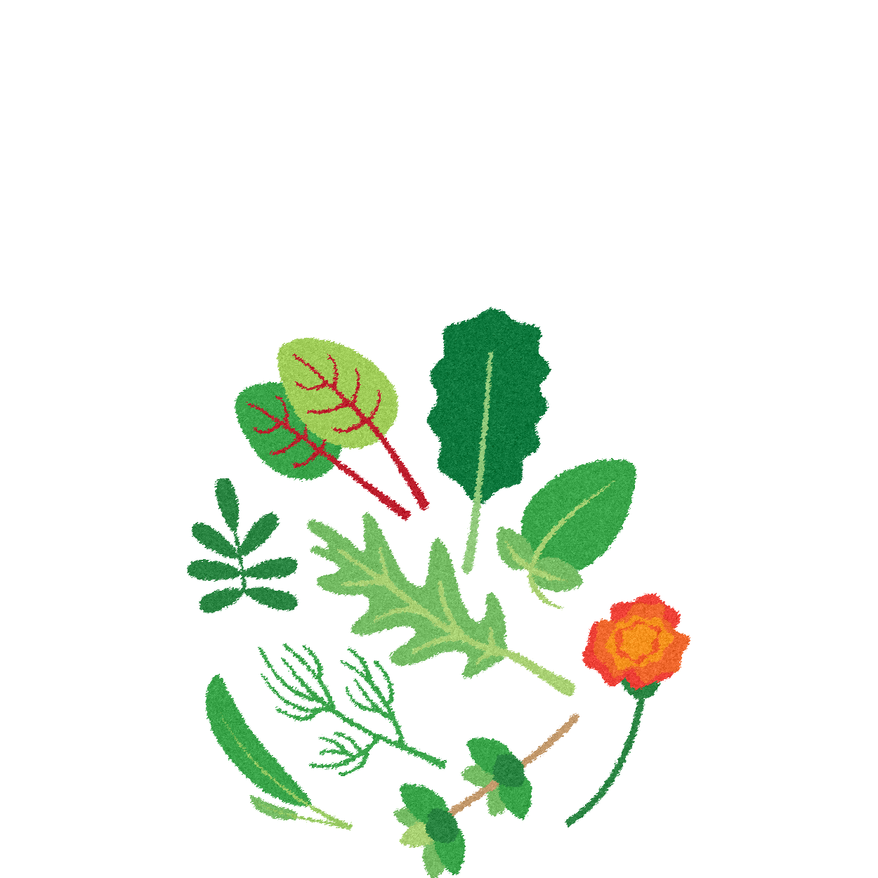 CorporateClientsPage_illustrations-02.png