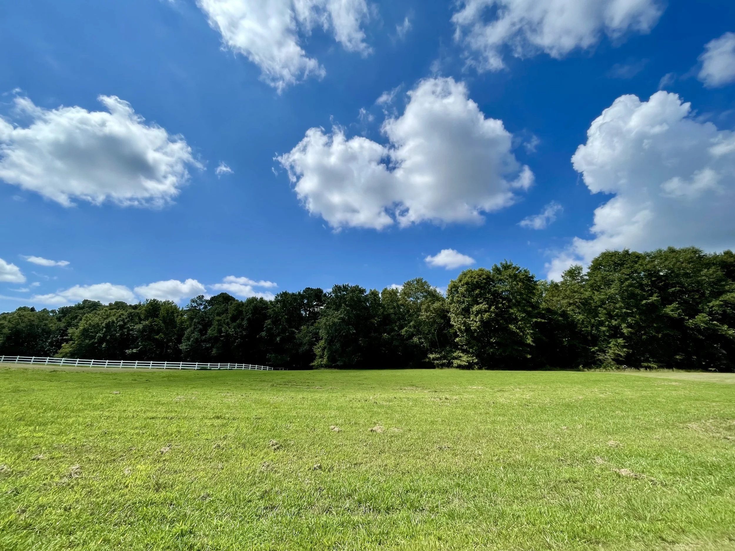 SOLD! A BEAUTIFUL 2 ACRE LOT IN THE HORSE FRIENDLY SAGEWOOD COMMUNITY!