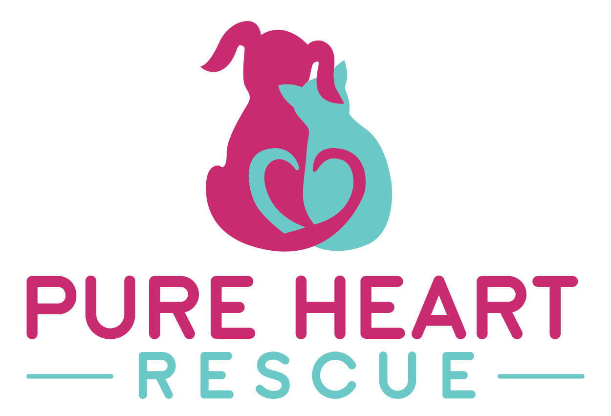 Pure Heart Rescue