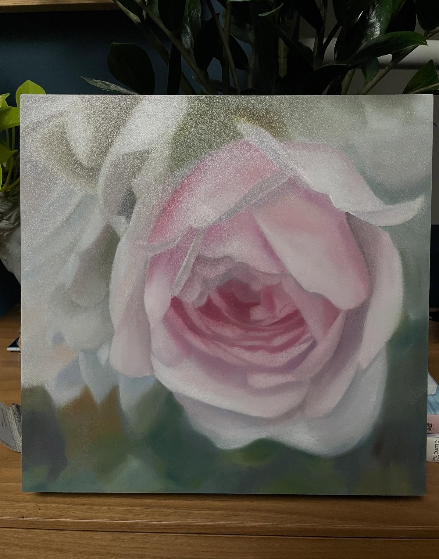 I think this is the last bloom on the rose bush at the bottom of my street&hellip;I find her so quietly beautiful.