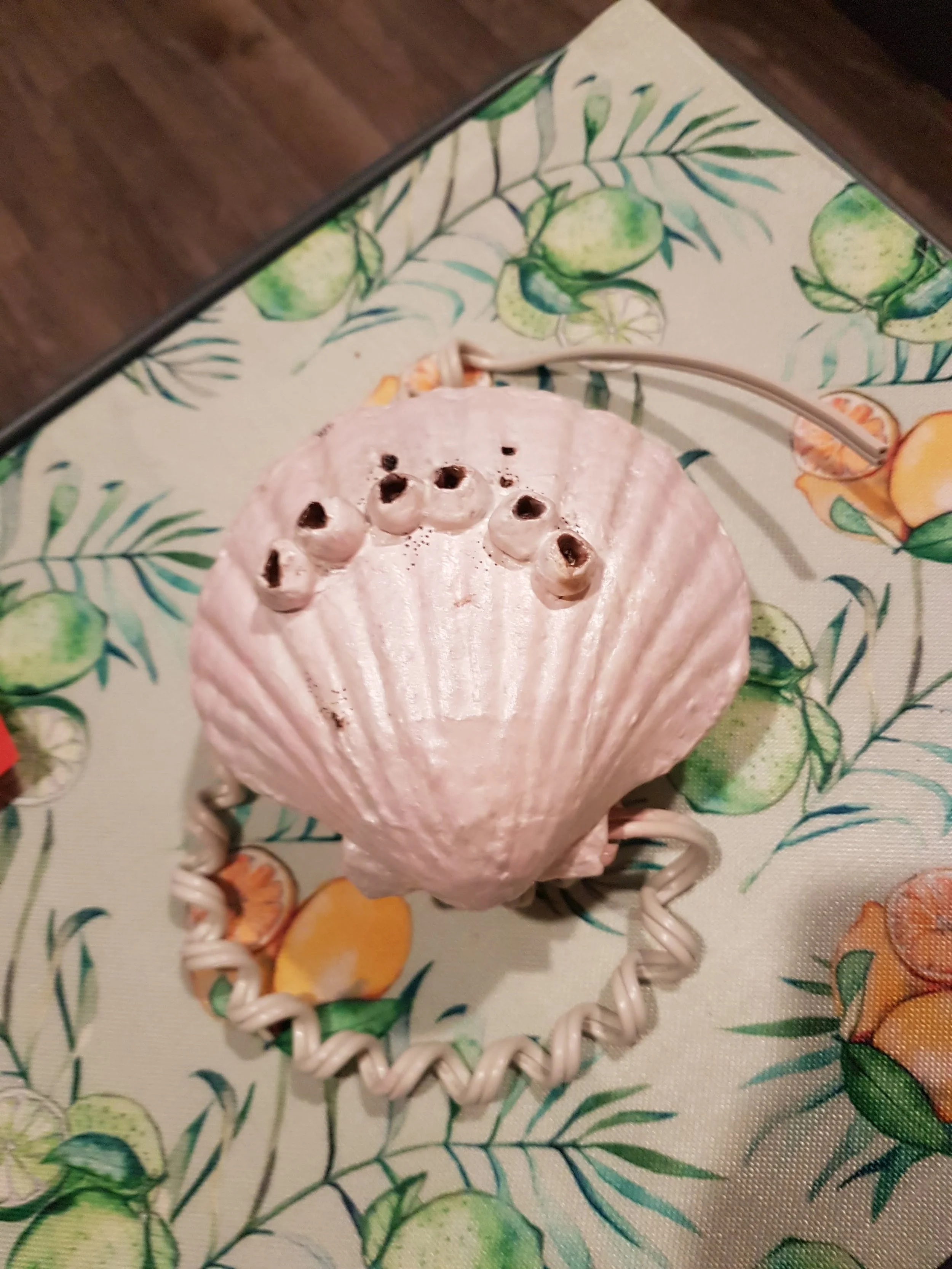 Shell_phone_bottom.jpg