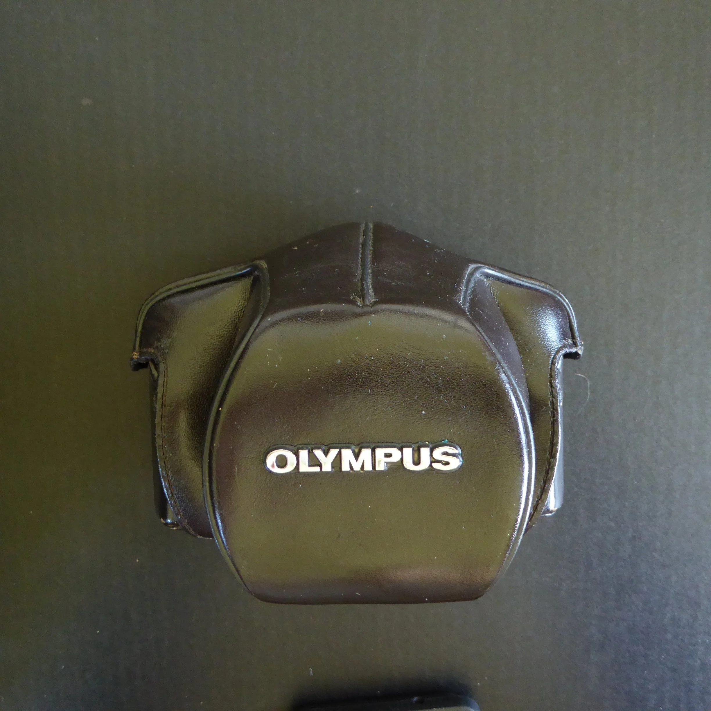 P1020058.JPG