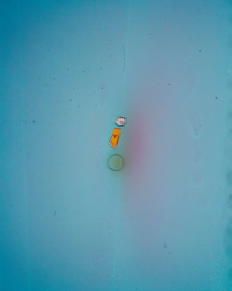 14-Edit-2.jpg