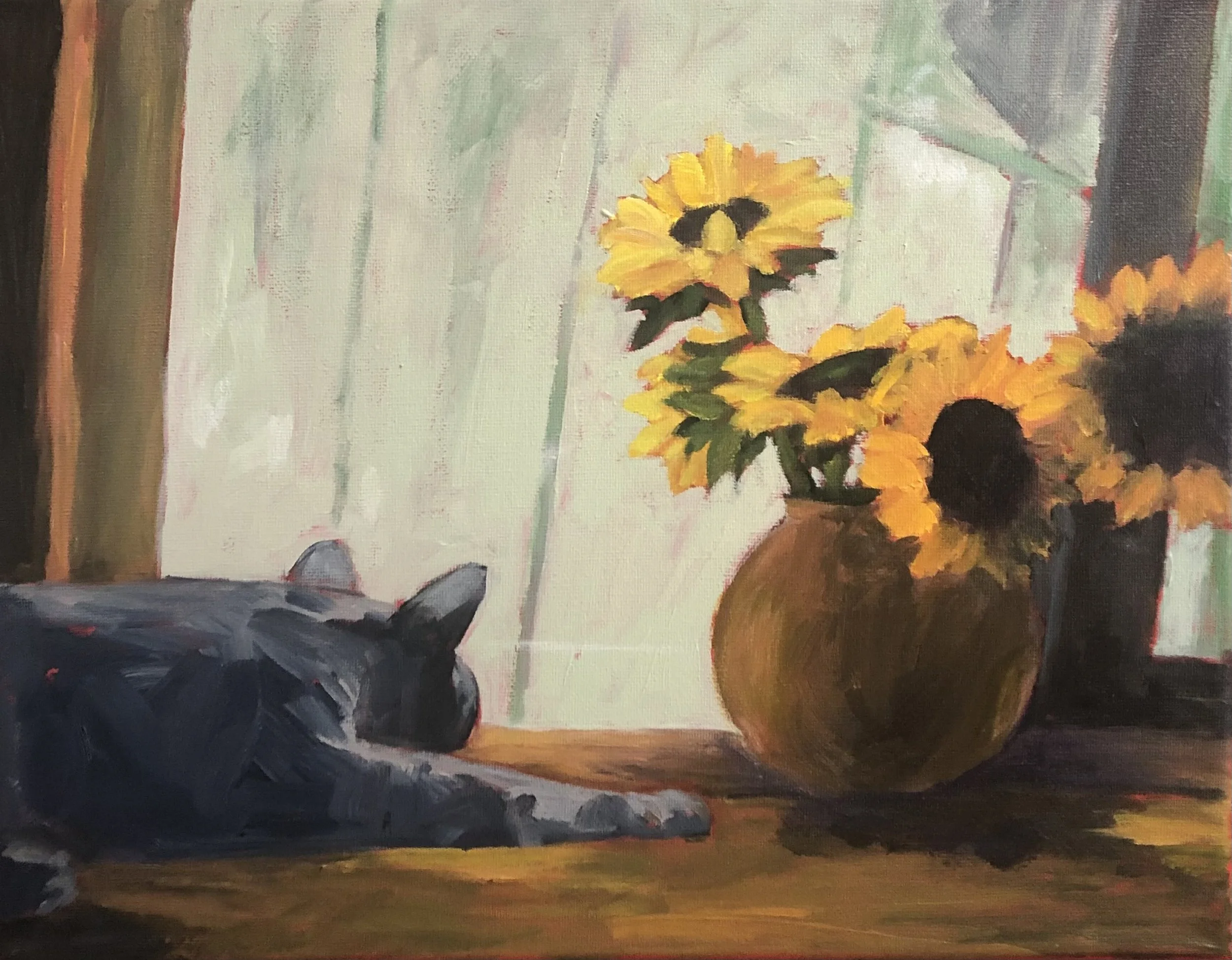 cat and Sunnies.jpeg