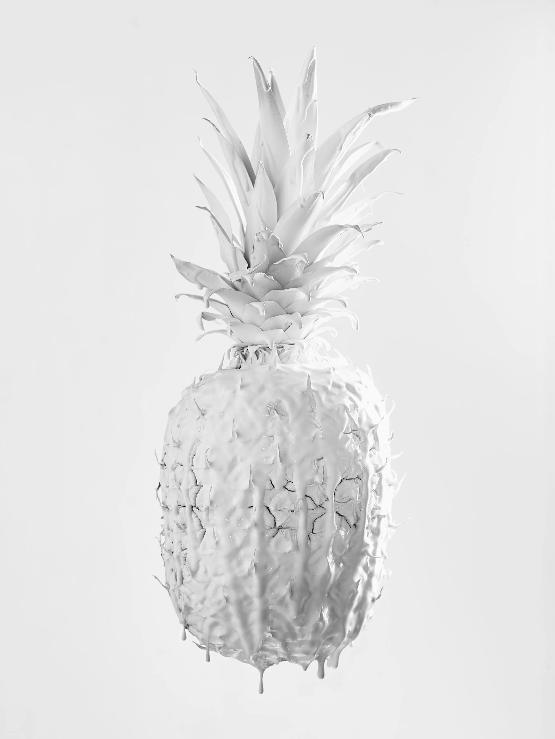 PineappleWHITE copy.jpg