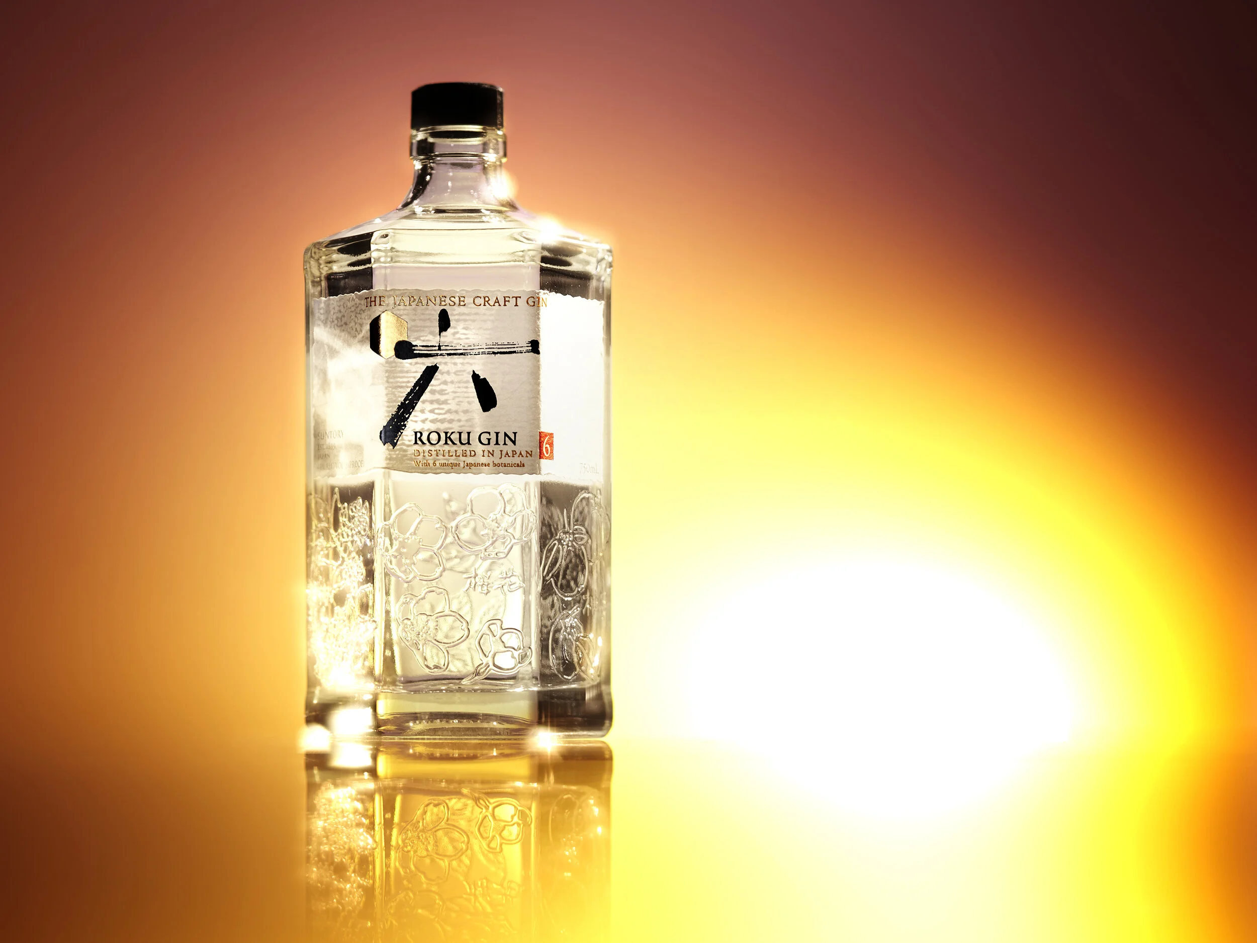ROKU_GIN-1a.jpg