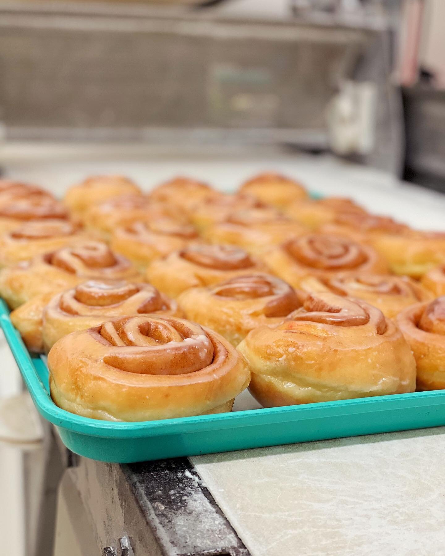 We have something sweet for you to get through the week!

#hammerdonuts #freshdonuts #handmadedonuts #donuts #doughnuts #donutshop #donutandcoffee #fooddelivery #grubhub #cakedonuts #yeastdonuts #downtownlafayette #sprinkledonut #glazeddonuts #filled