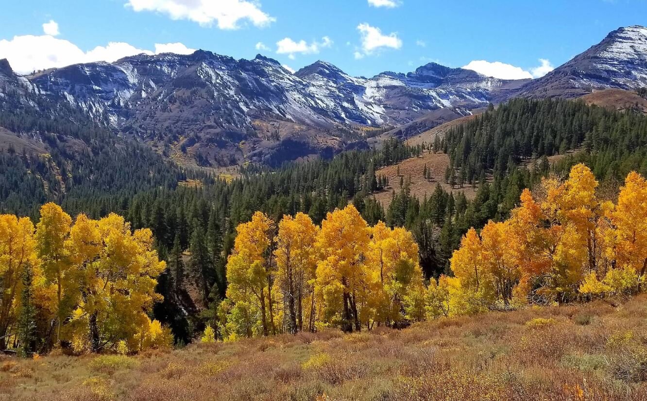 Eastern Sierra.JPG