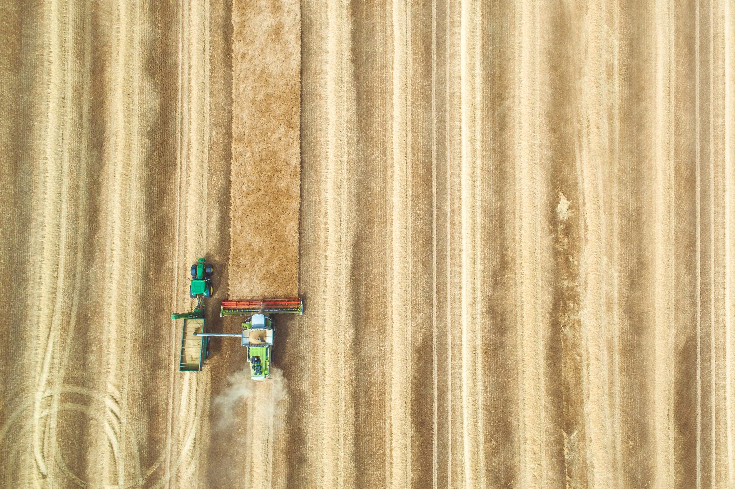 cloudvisual-319542-unsplash.jpg