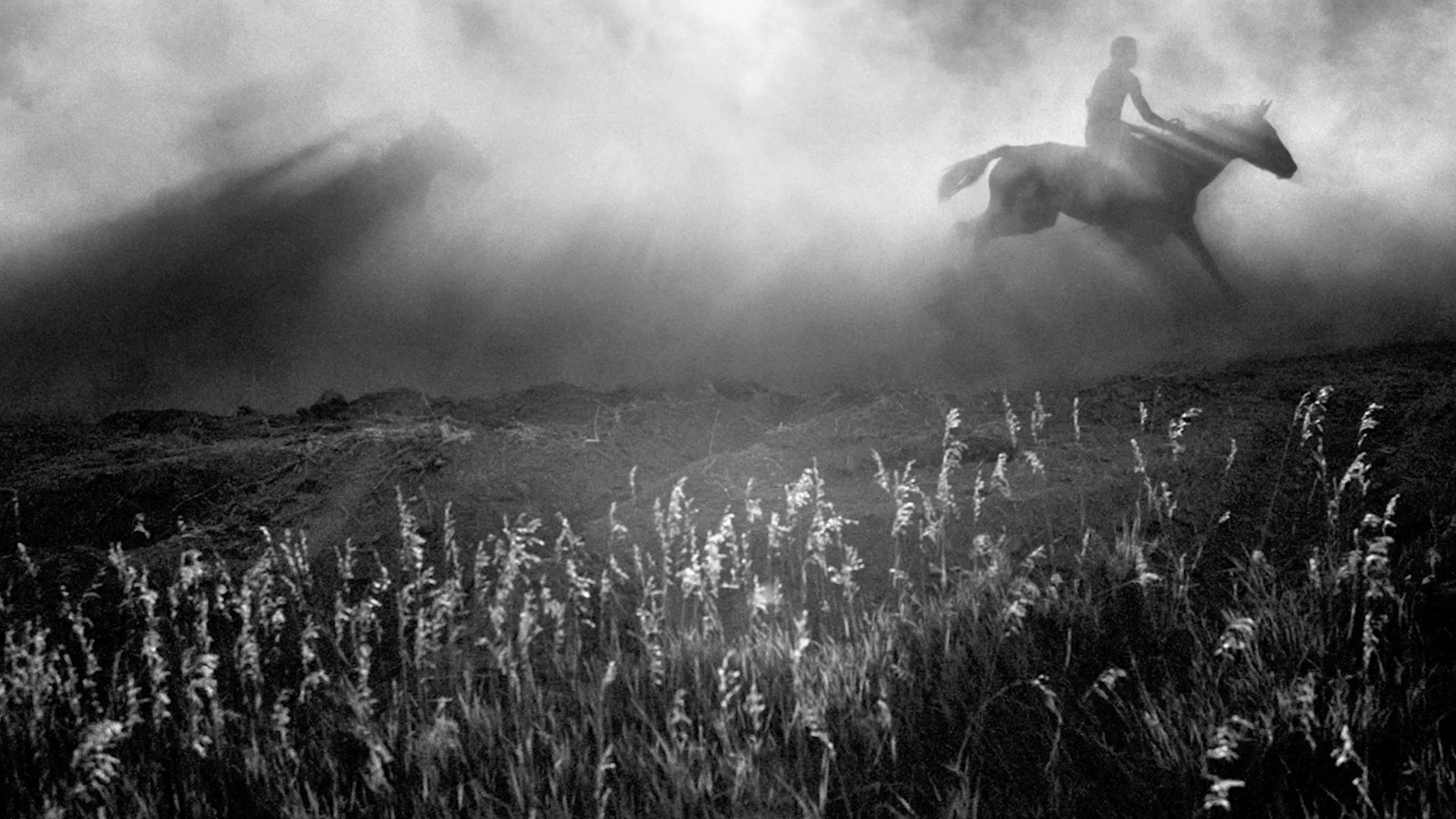 We’re Honored to Be Honored by the 2018 Webby Awards