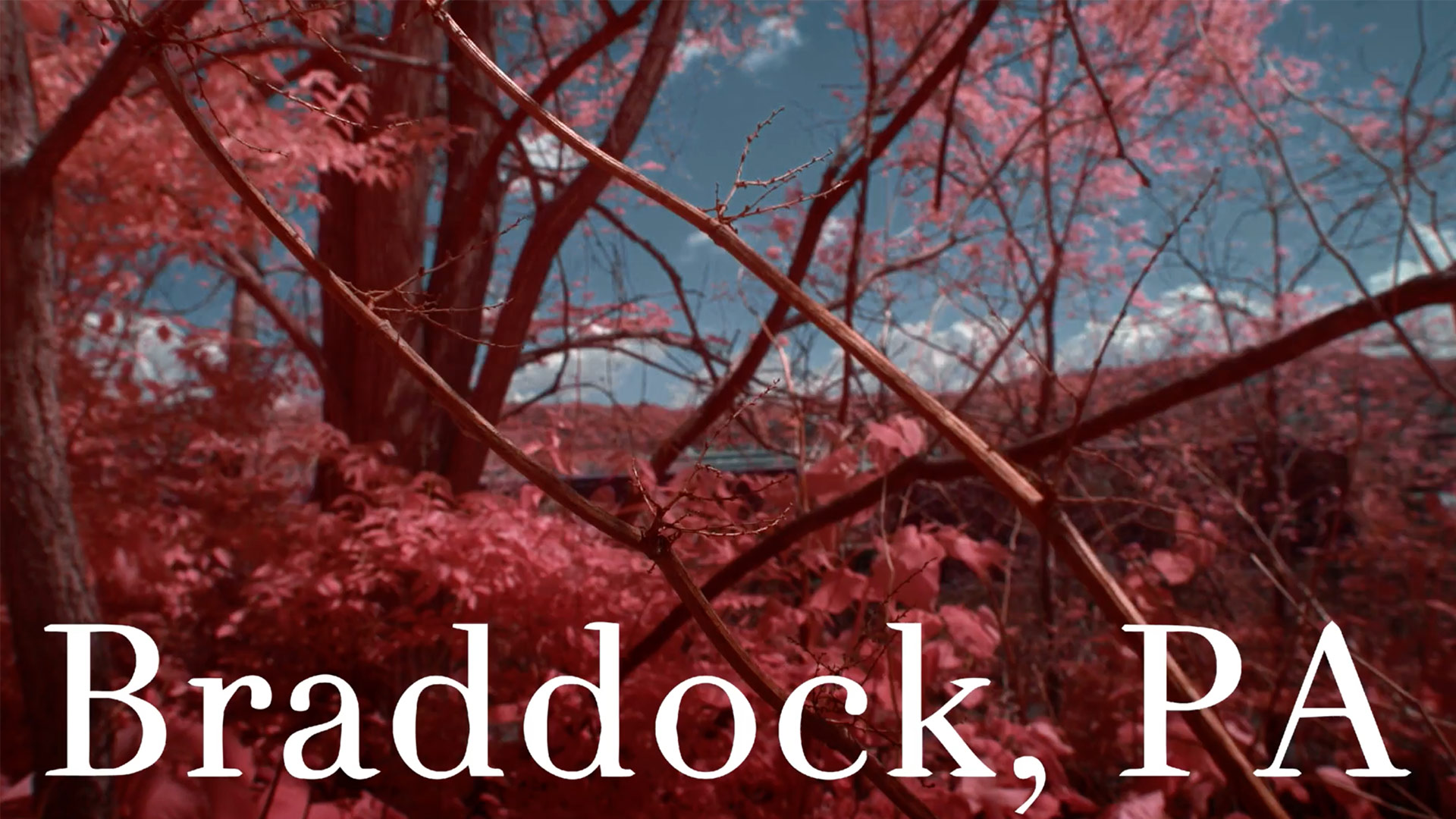 Topic Features Rosie Haber’s “Powerful” Four Part Braddock Documentary Series as Its August Centerpiece