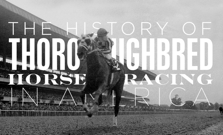 "THOTHRIA" | Original Docu-Series Created by Hennegan Bros. It’s time we celebrate American horse racing’s vibrant history and vital position in the fabric of our nation’s culture. The multi-episode production will bring together the game’s greatest horse-men and historians, to offer an unprecedented and electrifying look into the sport of kings.