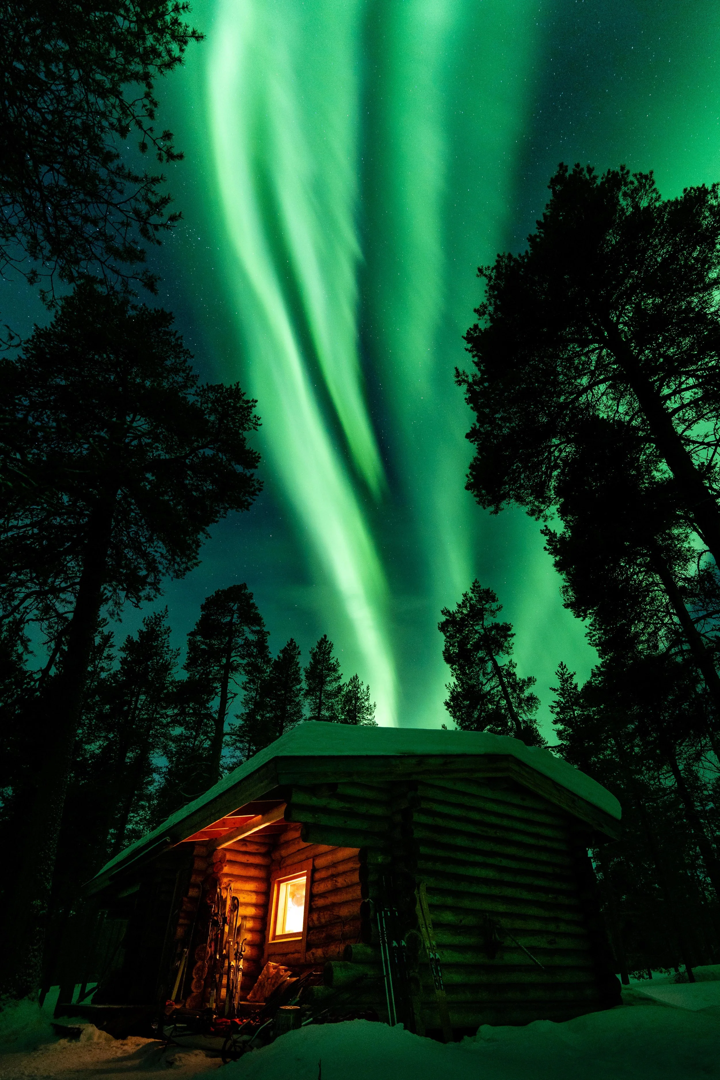 A nighttime scene of the northern lights (aurora borealis) illuminating the sky in green hues, with silhouetted tall pine trees around a small wooden cabin. The cabin emits a warm light from a window, contrasting with the cold, dark surroundings and 